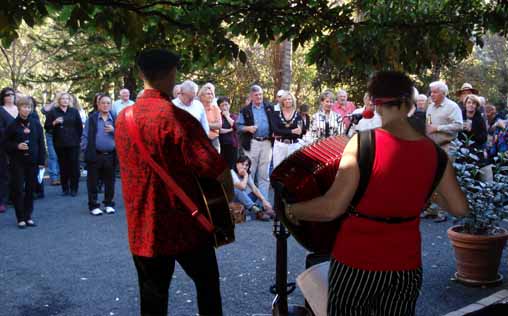 wedding musicians entertain at a private cocktail party in a Sydney suburban home